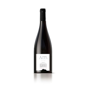 Bodegas Castaño - Sierra Alta Prestige