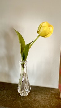 Tulpan gul 36 cm