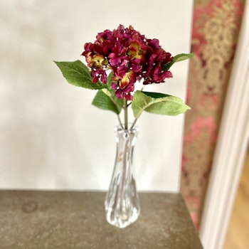 Hortensia lila 40 cm