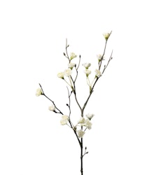 Blomkvist 50 cm