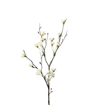 Blomkvist 50 cm