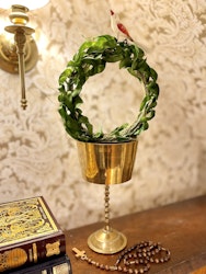 Hoya 30 cm