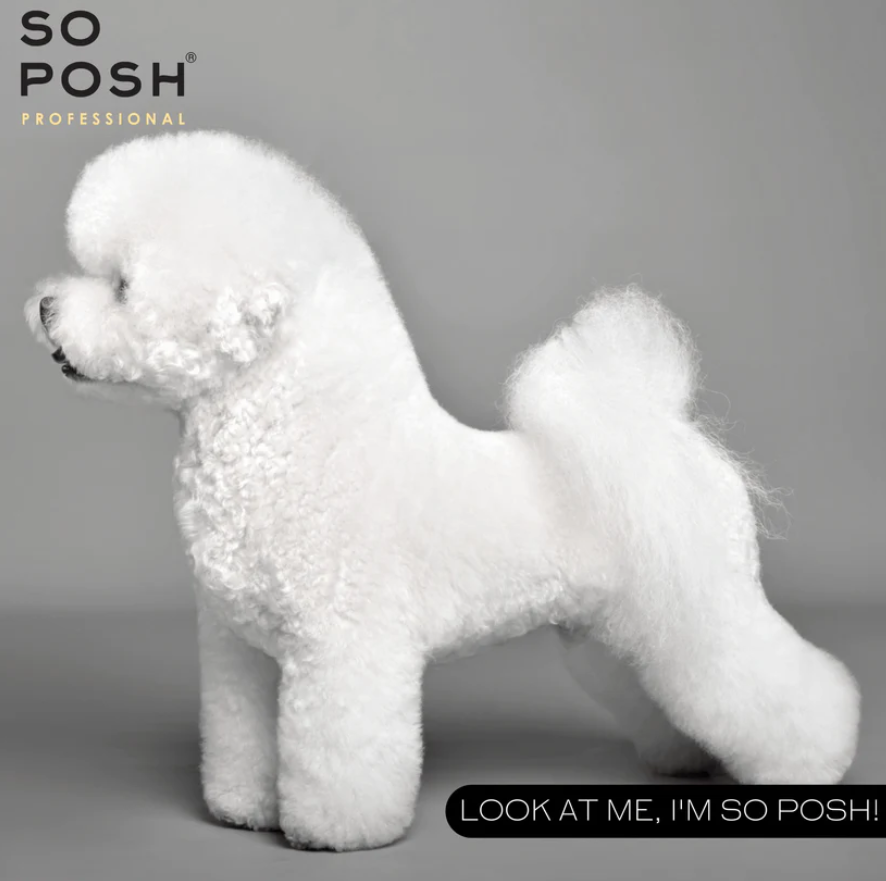 So Posh - So White Shampoo