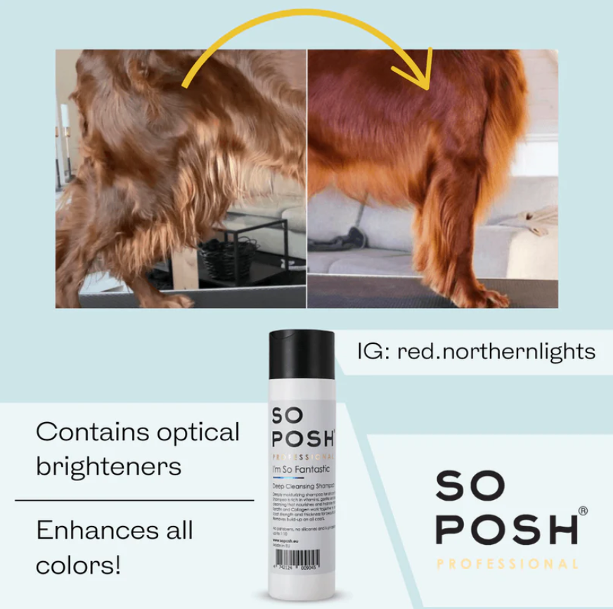 So Posh - I’m So Fantastic (Deep Cleaning Moisturizing  Shampoo)