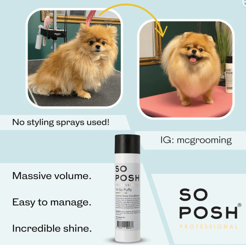 So Posh - I’m So Puffy (Volume Conditioner)