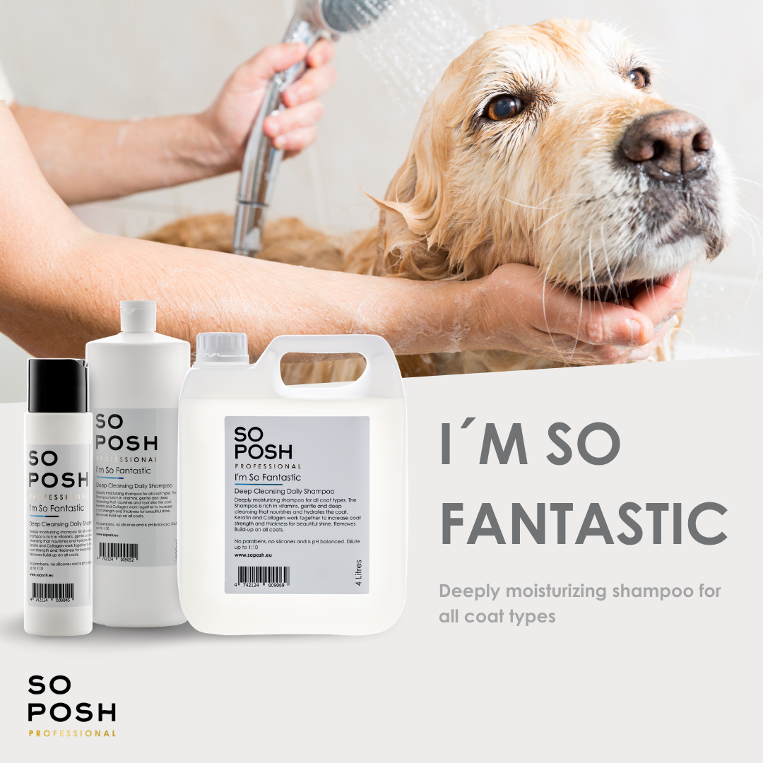 So Posh - I’m So Fantastic (Deep Cleaning Moisturizing  Shampoo)