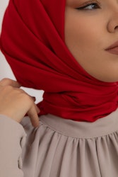 Silk Home Twill Scarf 11343-46