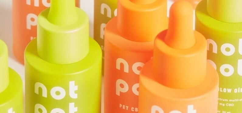 Industrihampa och Bioplast - En Lösning på Plastkrisen