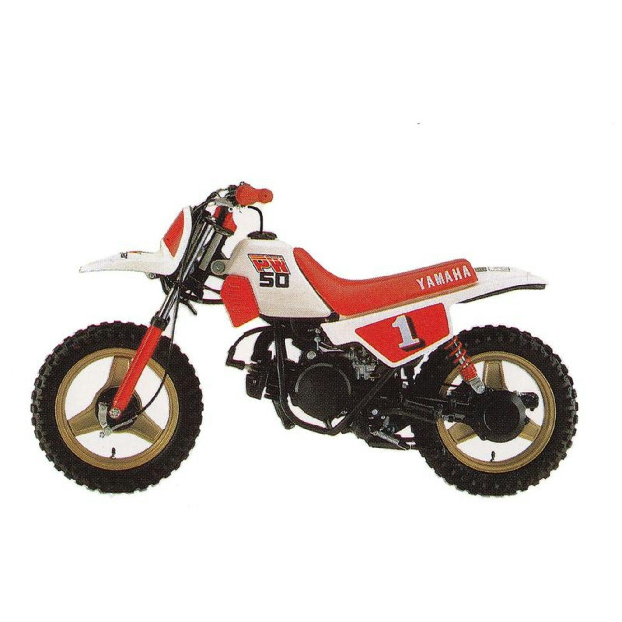 PW50 1982-1999 - Junkdawg