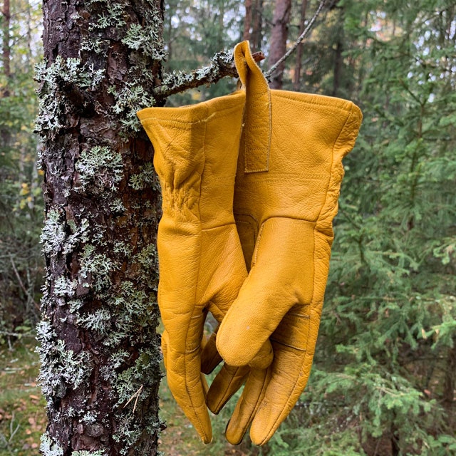 Bushcraft Leather Gloves hanging and drying up in the forest