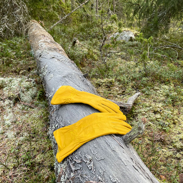 A pair of Bushcraft Leather Glove Cavalry from TAC-UP GEAR  on a frozen log in the Swedish forest