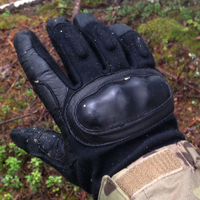 Tactical OPPO Glove in Swedish autumn nature.