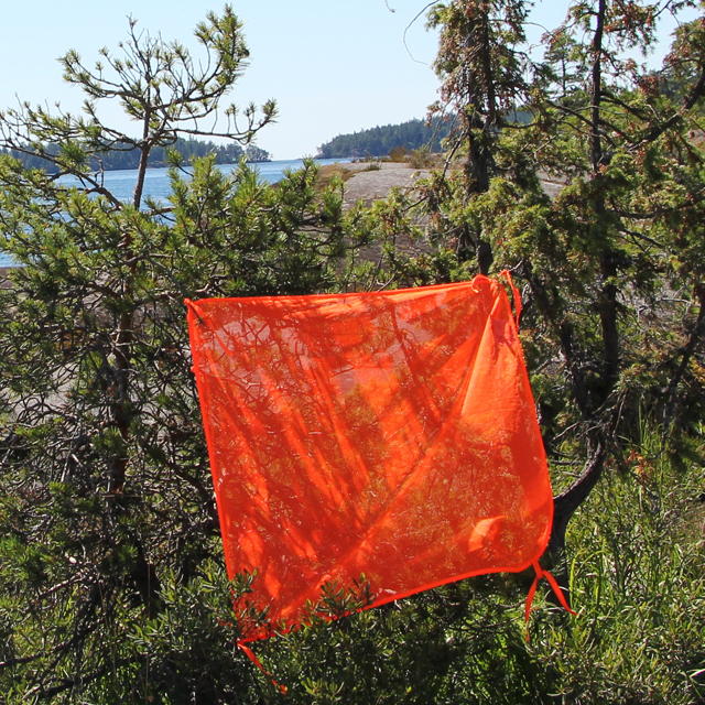 Hanging the Orange Signal Panel on a bush during photoshoot.
