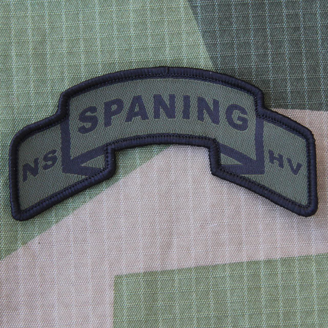 A SPANING Scroll Patch on a M90 camouflage background.