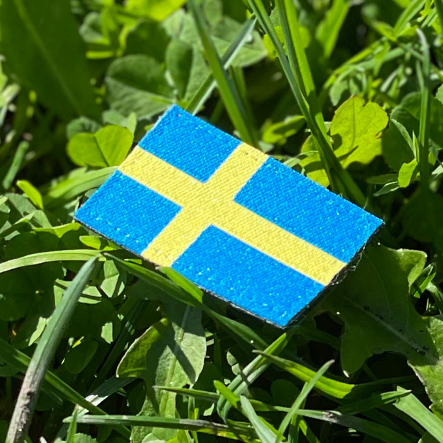 From ana ngle a Sweden Flag Hook Patch Arm with grass background
