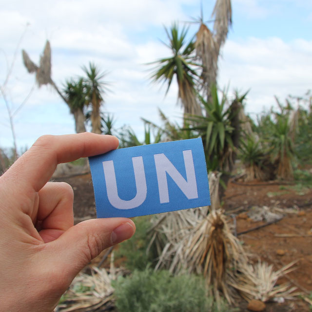 A United Nations Hook Patch Large shown in oalm tree scenery.