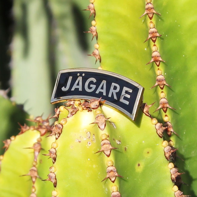 Productphoto of a Pin JÄGARE Gold/Black on a cactus.