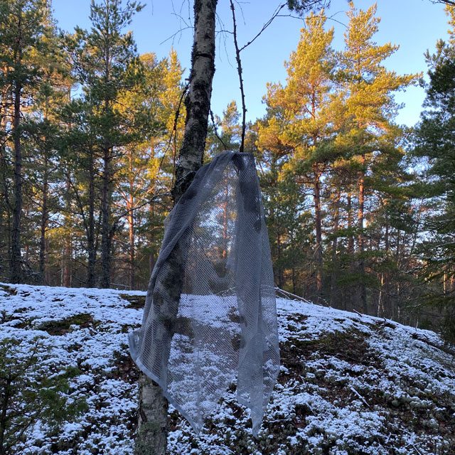 A hanging Scrim Net Scarf White Moss