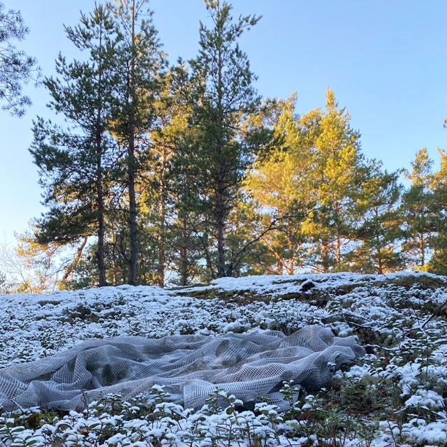 Scrim Net Scarf White Moss in white snowy forest scenery