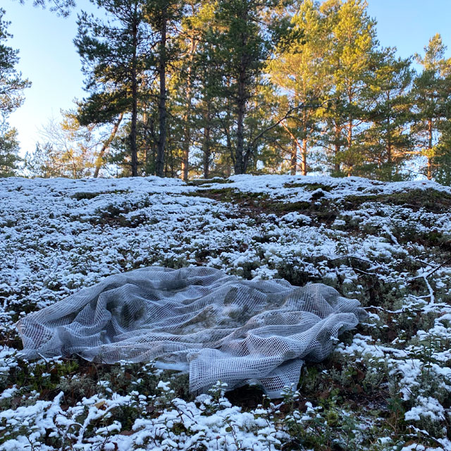 Scrim Net Scarf White Moss on the forest ground with snow and moss