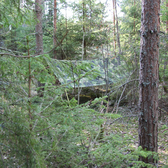 M90 camouflage works well in Swedish forest, here a Tarp M90 Light