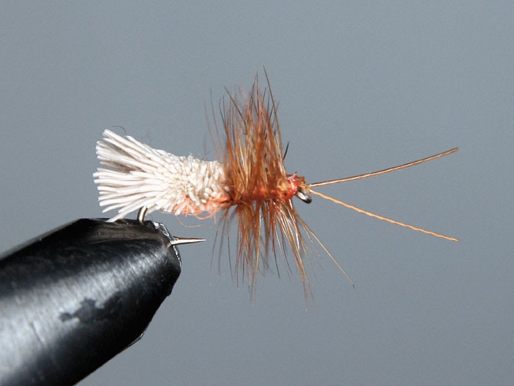 G &H Sedge