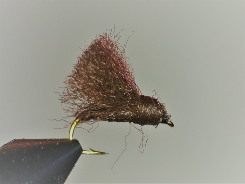 Rackelhane (rostbrun och mörkbrun)