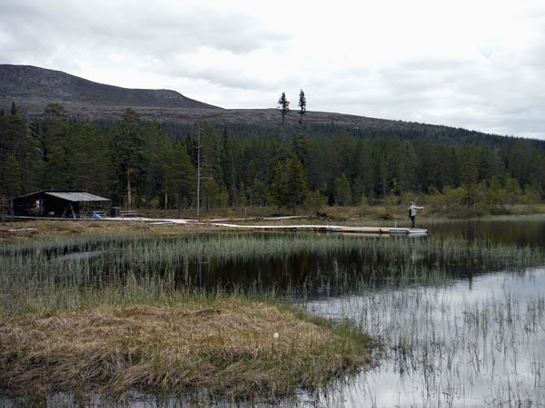 Fiskekort (Familj) Gränjestjärn, 3 fiskar