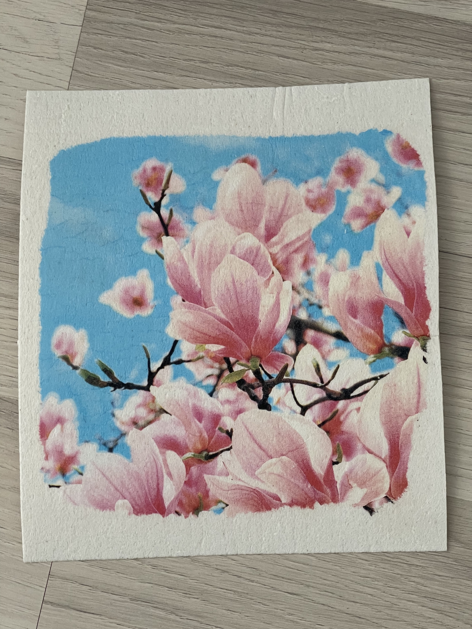 Disktrasa magnolia