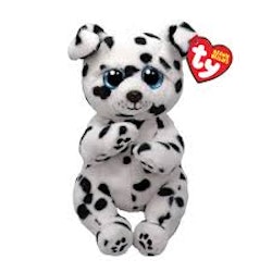 ROWDY - Dalmatisk hund