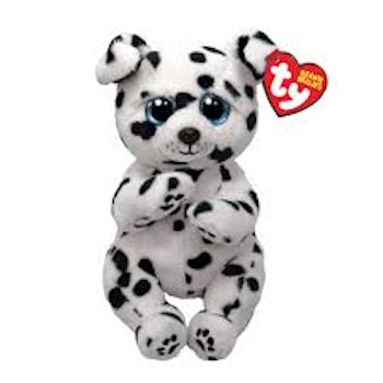 ROWDY - Dalmatisk hund