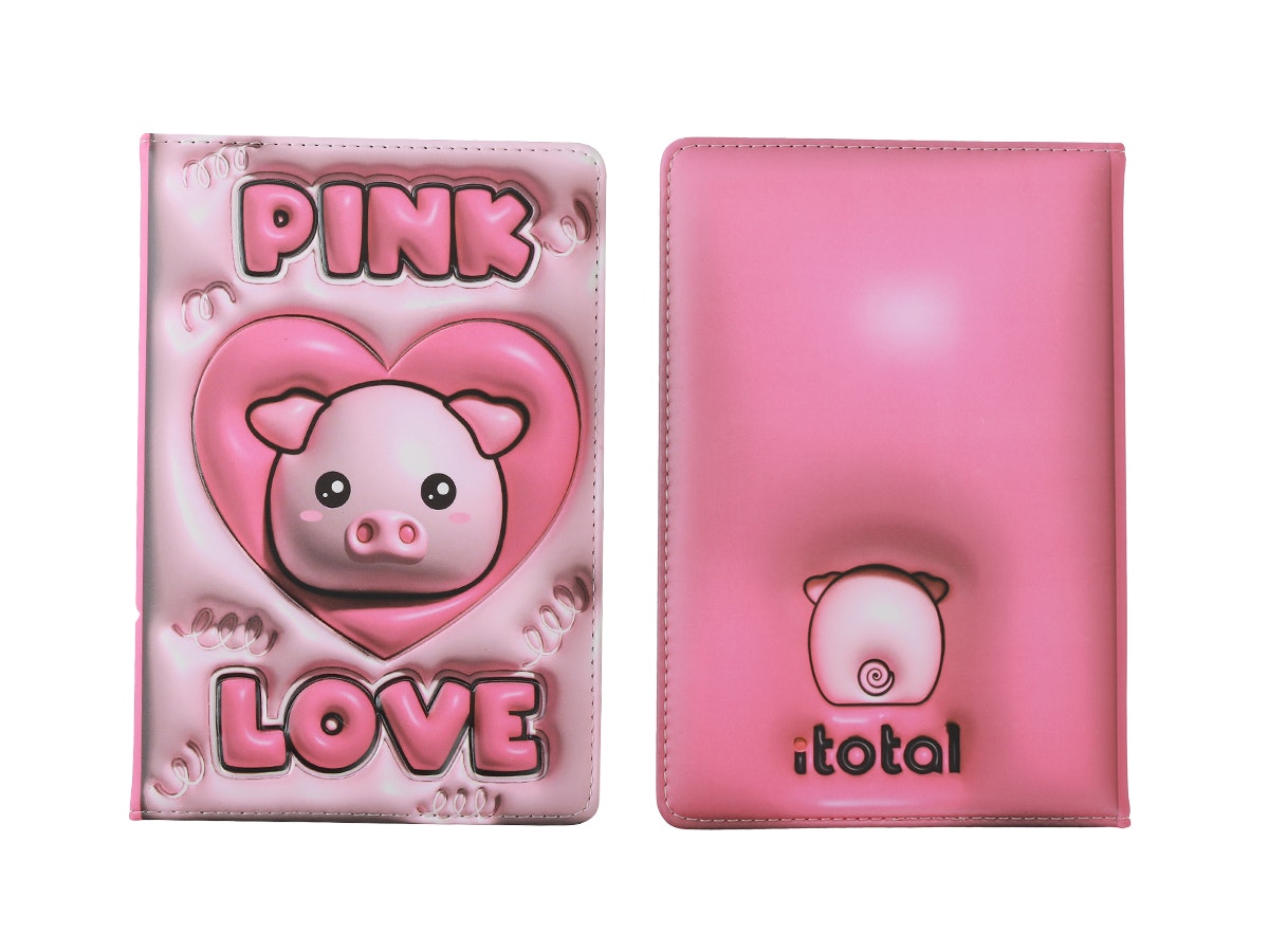 3D Notebook PIGGY