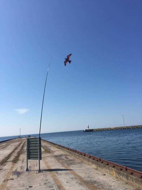 5 meter Fågelskrämma