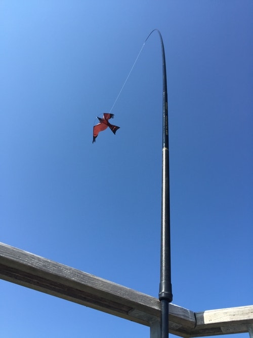 6 meter Fågelskrämma Komplett med 1 st boll