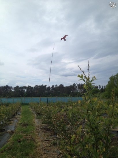 1 st 7 meter Fågelskrämma Komplett med 1 st boll.