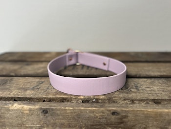 HALVSTRYP BioThane® halsband - 25mm