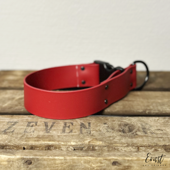 HALVSTRYP med knäppe BioThane® halsband - 38mm