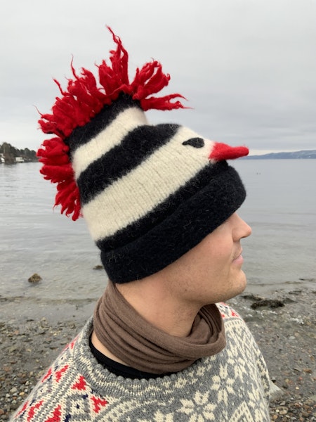 Frøken Vrangs tova fengselsfugl-lue