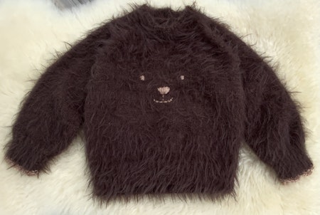 Frøken Vrangs Teddygenser