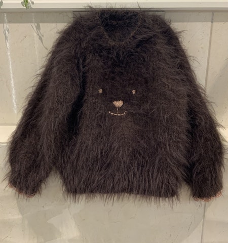 Frøken Vrangs Teddygenser