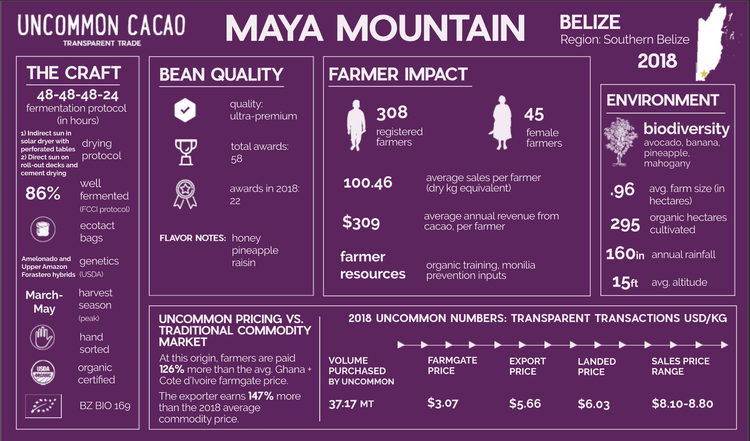 Standout Chocolate - Belize Maya Mountain 70%