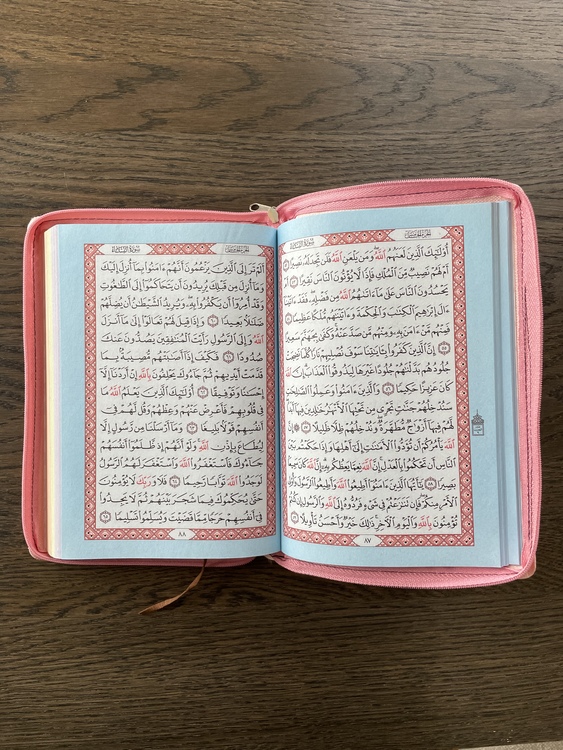 Rosa Koran med dragkedja