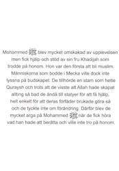 Lilla boken om Mohammed