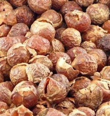 Organic Soapnuts 100 g 48 Washes