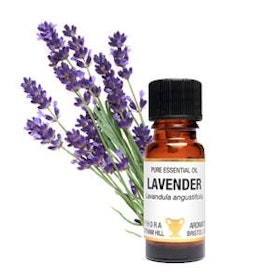 Eterisk olja - 10ml - Lavendel
