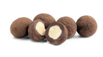 Salty Chocolate Hazelnuts - 110 g - Raw Chocolate Company