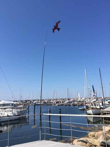 Fågelskrämma Komplett 6 meter med drake + 1 st boll