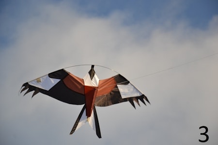 Fågelskrämmor med drake 3 st kompletta 5 m. Fraktfritt
