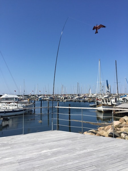 Fågelskrämma 5 meter med 2 st drakar. Fraktfritt