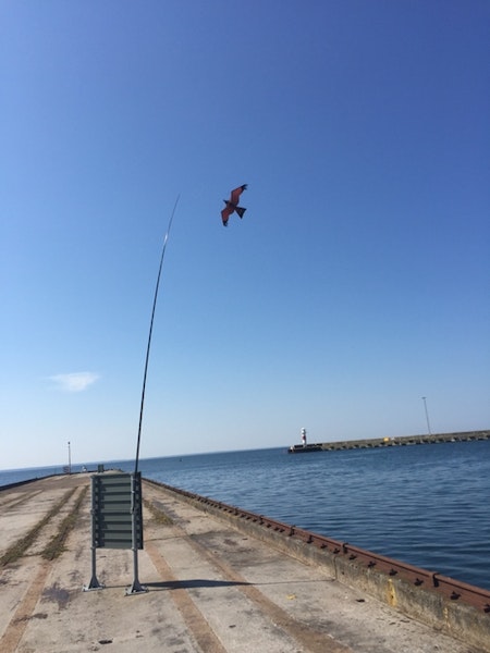 Fågelskrämma komplett med drake 5 m o 1 boll.